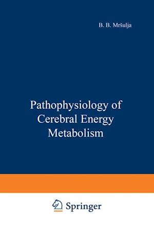 Pathophysiology of Cerebral Energy Metabolism