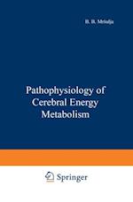 Pathophysiology of Cerebral Energy Metabolism