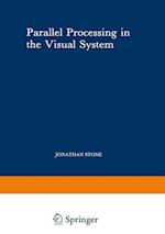 Parallel Processing in the Visual System