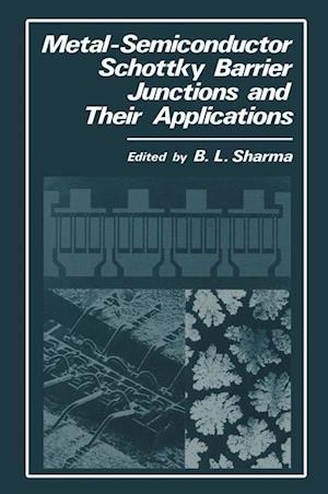 Metal-Semiconductor Schottky Barrier Junctions and Their Applications