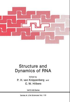 Structure and Dynamics of RNA