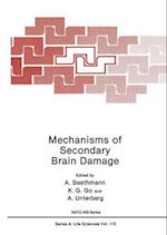 Mechanisms of Secondary Brain Damage 