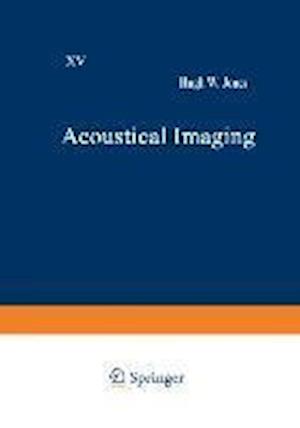 Acoustical Imaging