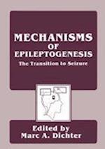 Mechanisms of Epileptogenesis