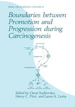 Boundaries between Promotion and Progression during Carcinogenesis