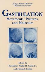 Gastrulation