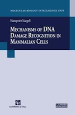 Mechanisms of DNA Damage Recognition in Mammalian Cells