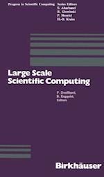 Large Scale Scientific Computing