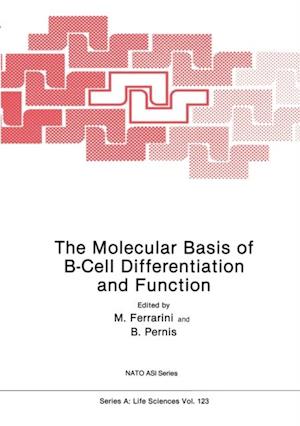 Molecular Basis of B-Cell Differentiation and Function