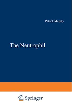 Neutrophil