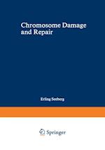 Chromosome Damage and Repair