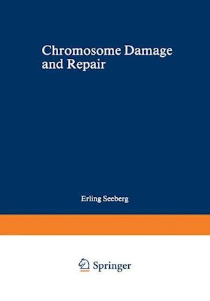 Chromosome Damage and Repair