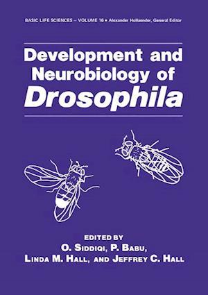 Development and Neurobiology of Drosophila