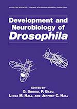 Development and Neurobiology of Drosophila