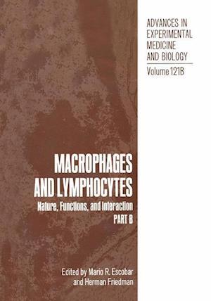 Macrophages and Lymphocytes