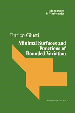 Minimal Surfaces and Functions of Bounded Variation