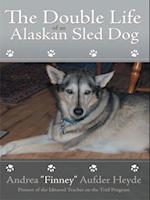 Double Life of an Alaskan Sled Dog
