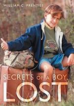 Secrets of a Boy, Lost