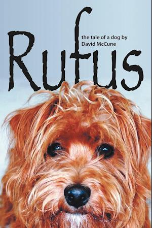 Rufus