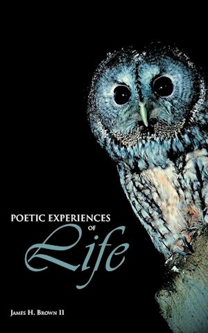 Poetic Experiences of Life