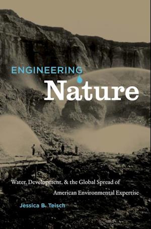 Engineering Nature