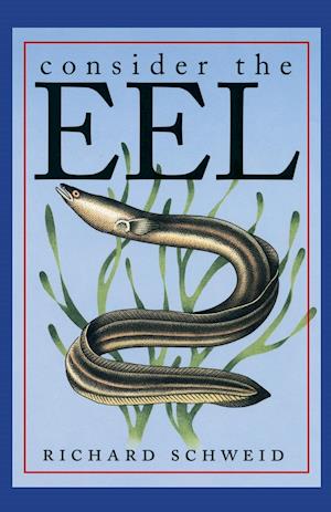 Consider the Eel