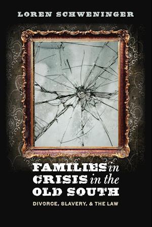 Families in Crisis in the Old South