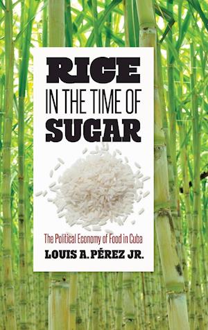 Rice in the Time of Sugar
