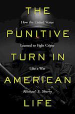 The Punitive Turn in American Life