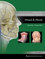 Lippincott's Concise Illustrated Anatomy: Head & Neck