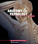 Anatomy & Pathology