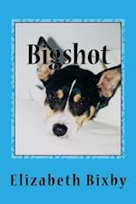 Bigshot