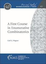 A First Course in Enumerative Combinatorics