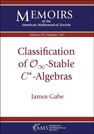 Classification of $\mathcal {O}_\infty $-Stable $C^*$-Algebras