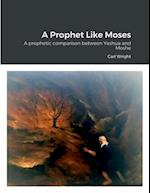 A Prophet Like Moses