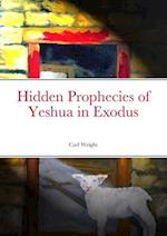 Hidden Prophecies of Yeshua in Exodus 