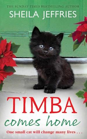 Timba Comes Home