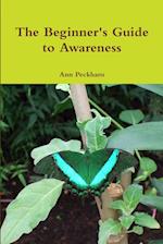 The Beginner's Guide to Awareness 