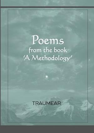 Poems from the book: 'a Methodology'