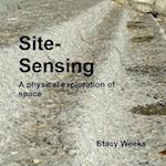 Site sensing 