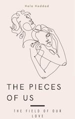 Pieces Of Us