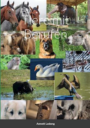 Tiere mit Berufen