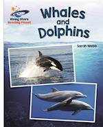 Reading Planet - Whales and Dolphins - White: Galaxy