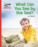 Reading Planet - What Can You See by the Sea? - Red B: Galaxy