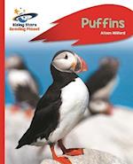 Reading Planet - Puffins - Red A: Rocket Phonics