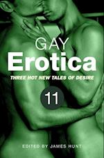 Gay Erotica, Volume 11