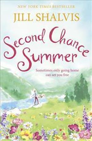 Second Chance Summer