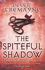 Spiteful Shadow (A Sister Fidelma e-novella)