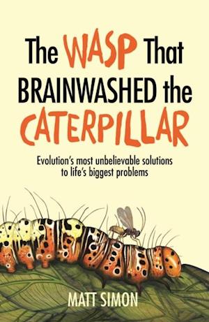 Wasp That Brainwashed the Caterpillar