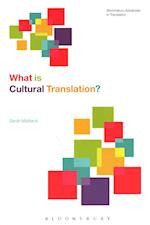 What Is Cultural Translation?